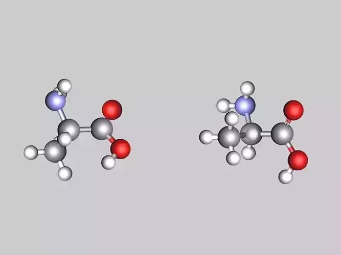 Alanine molecule 3D model