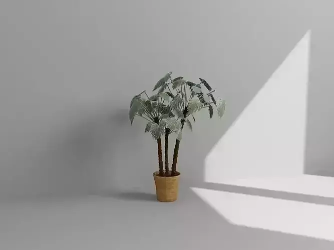 Vol2 Accessory0038 VR