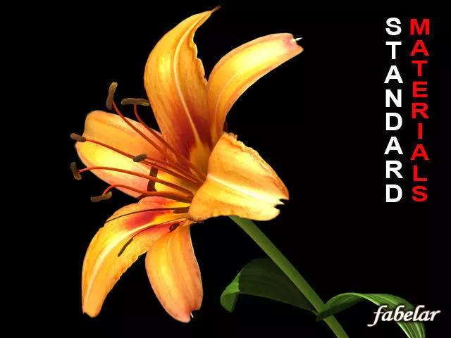 Lilium Davidii Std Mat 3D model