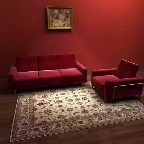 Sofa living room with and rug