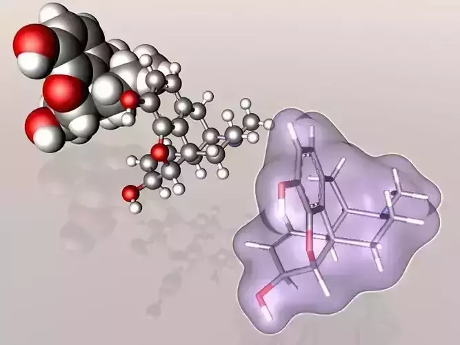 Morphine molecule 3D model