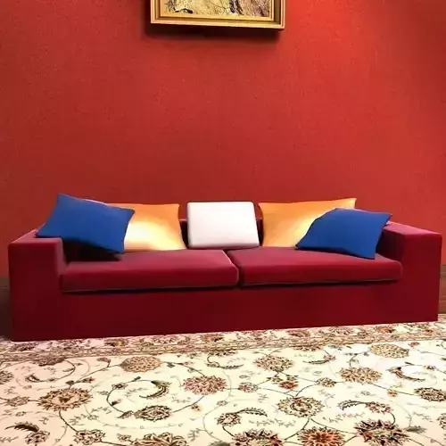 Sofa living room with couch and rug