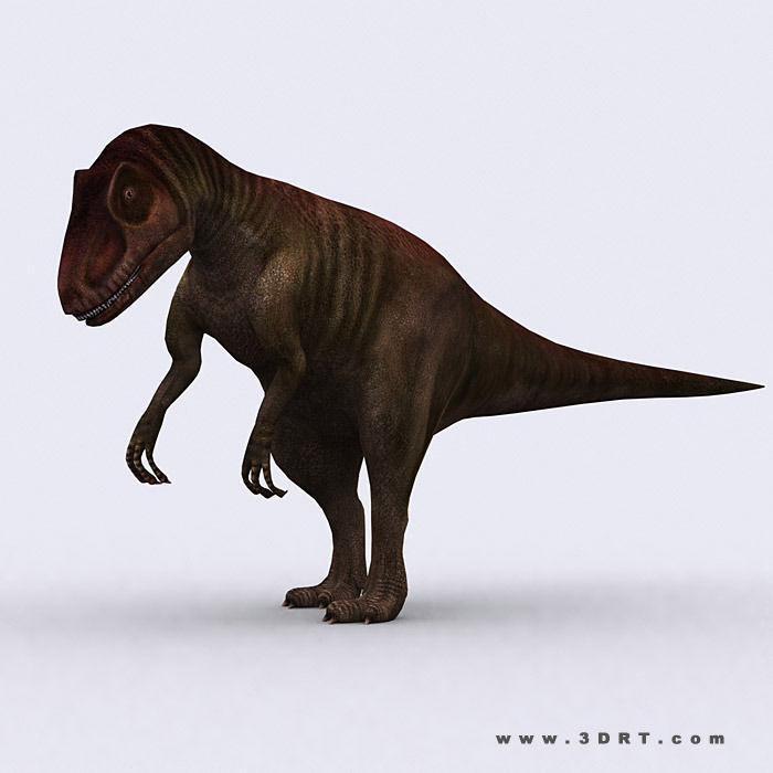 3DRT - Dinosaurs - Allosaurus Low-poly 3D model_1