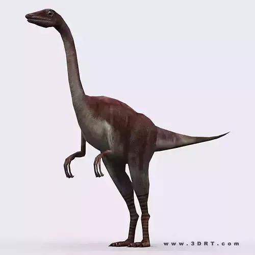 3DRT - Dinosaurs - Compsognathus Low-poly 3D model