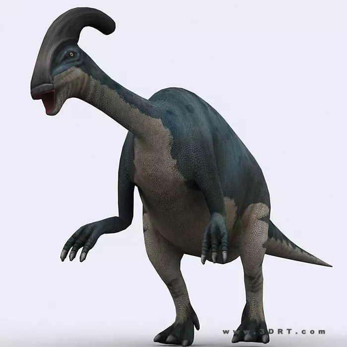 3DRT - Dinosaurs - Parasaurolophus Low-poly 3D model_0