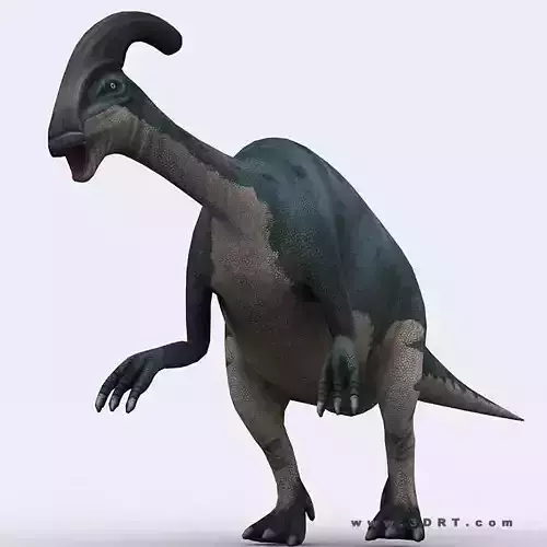 3DRT - Dinosaurs - Parasaurolophus Low-poly 3D model