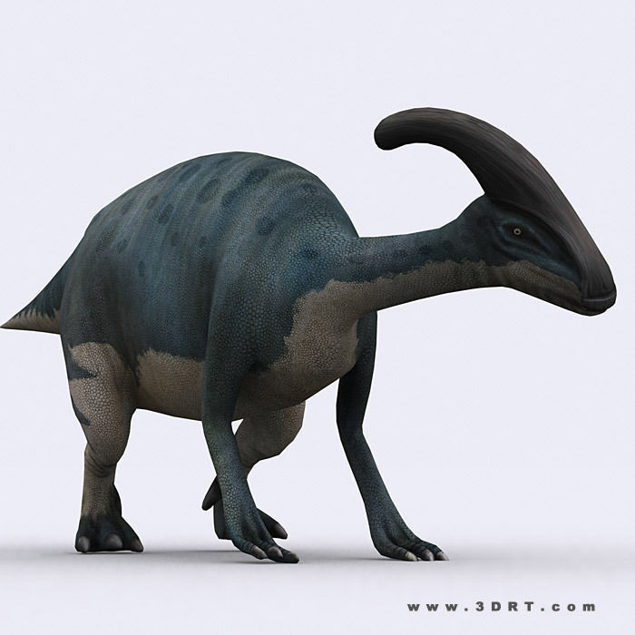 3DRT - Dinosaurs - Parasaurolophus Low-poly 3D model_1