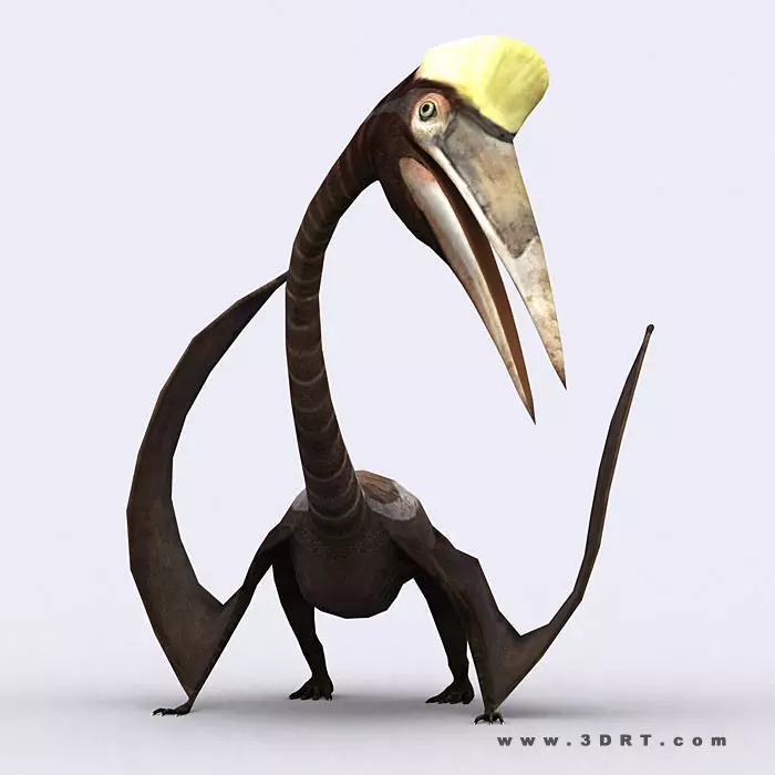 3DRT - Dinosaurs - Quetzalcoatlus Low-poly 3D model_0