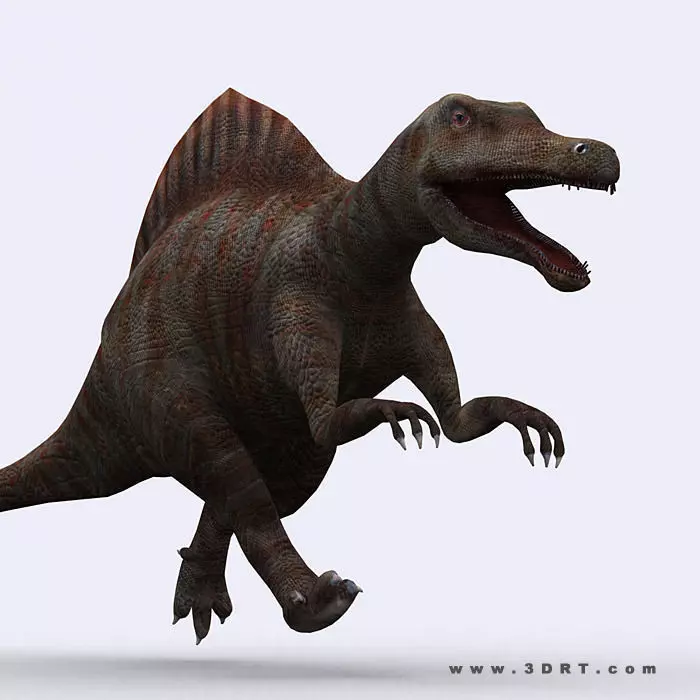 3DRT - Dinosaurs - Spinosaurus Low-poly 3D model_0