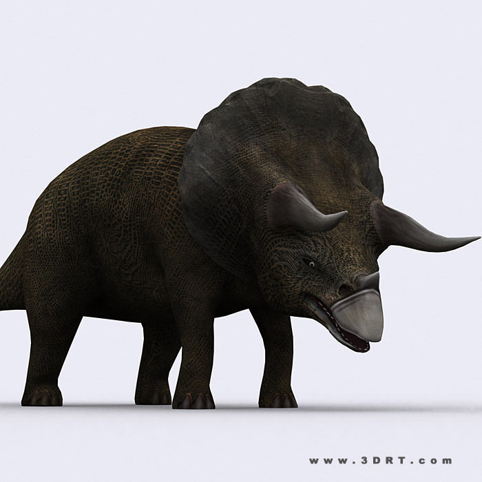 3DRT - Dinosaurs - Triceratops Low-poly 3D model_1