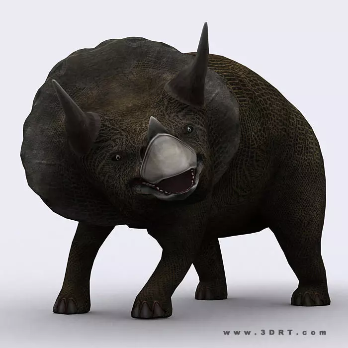 3DRT - Dinosaurs - Triceratops Low-poly 3D model_0