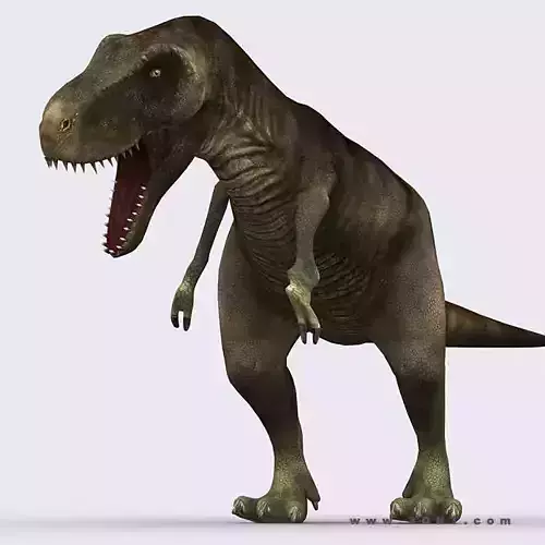 3DRT - Dinosaurs - Tyrannosaurus Low-poly 3D model