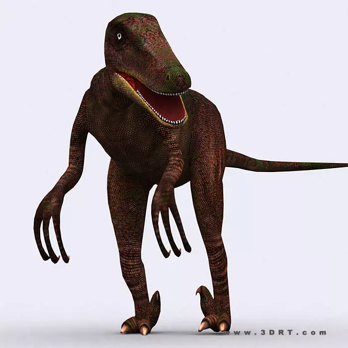 3DRT - Dinosaurs - Velociraptor Low-poly 3D model_0