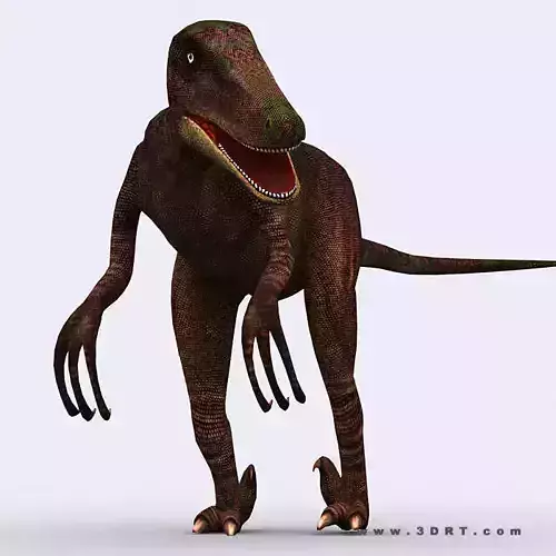 3DRT - Dinosaurs - Velociraptor Low-poly 3D model