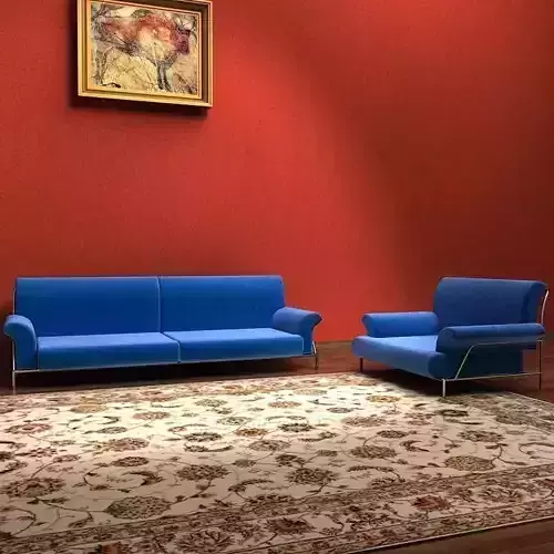 Sofa living room with and rug