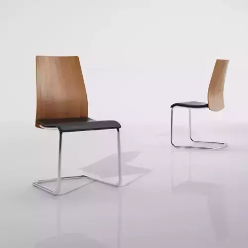 Calligaris Swing