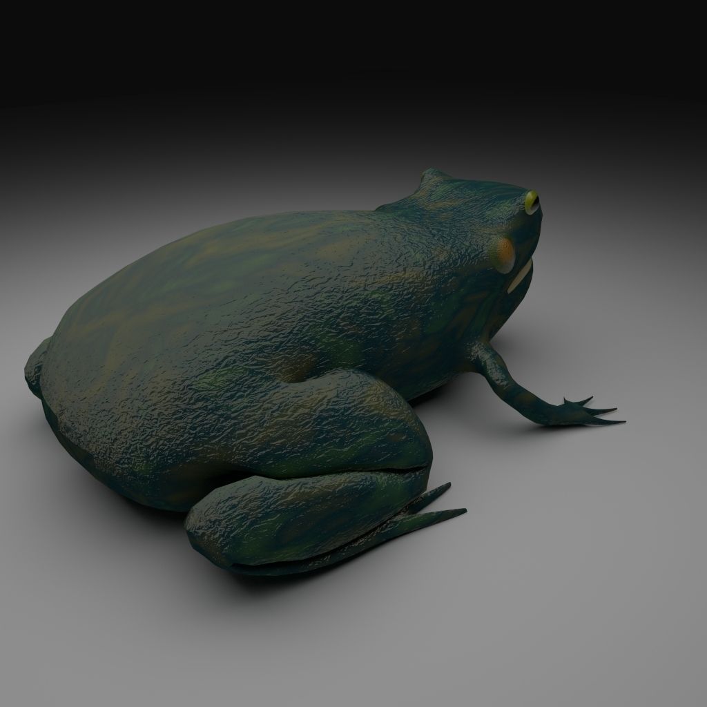 Smooth Blue Frog - Cartoon Style Free low-poly 3D model_6