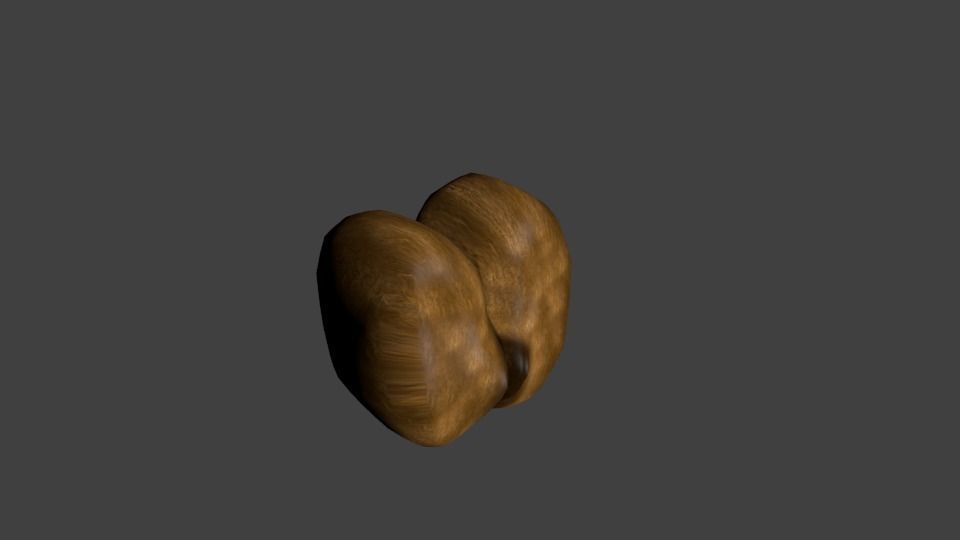Coconut Coco De Mer Low-poly 3D model_0