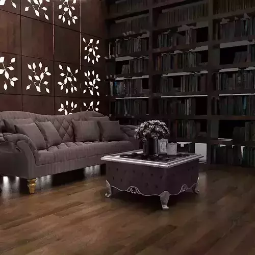 Sofa living room with bookshelves