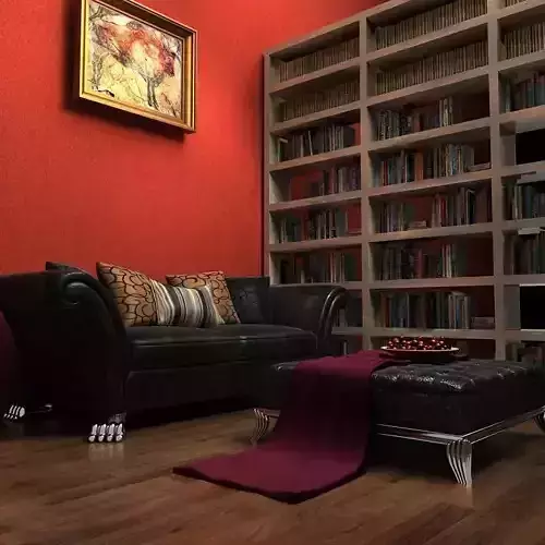 Sofa living room with bookshelves