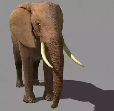 SUPERB LOW-POLY ELEPHANT - 3d model