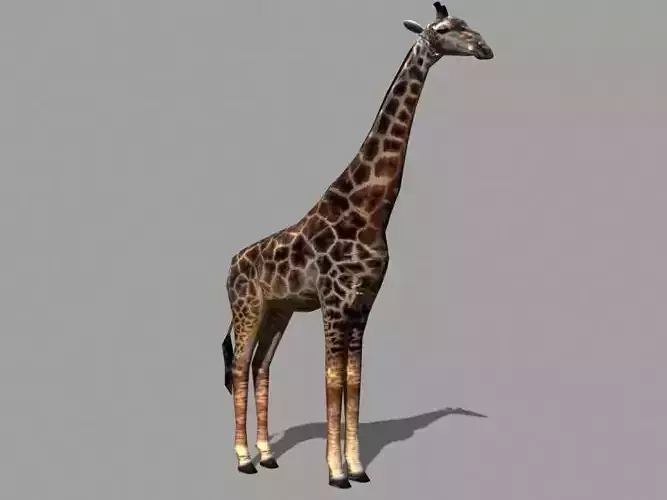 Superb Low-Poly Giraffe - 3d model Low-poly 3D model