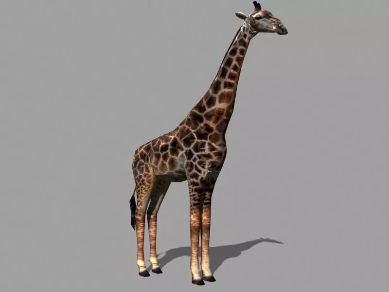 Superb Low-Poly Giraffe - 3d model Low-poly 3D model_0