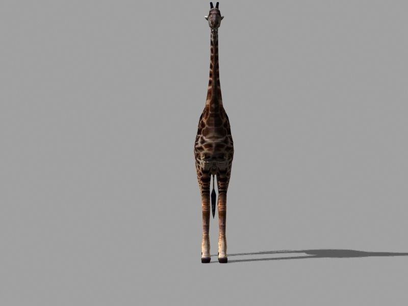 Superb Low-Poly Giraffe - 3d model Low-poly 3D model_9