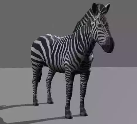 Incredible LOW POLY Zebra - 3d model Low-poly 3D model
