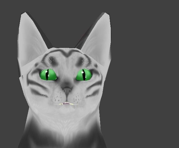 Kitten cat Low-poly 3D model_3