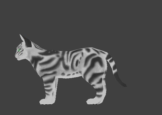 Kitten cat Low-poly 3D model_2
