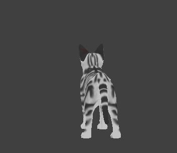 Kitten cat Low-poly 3D model_1