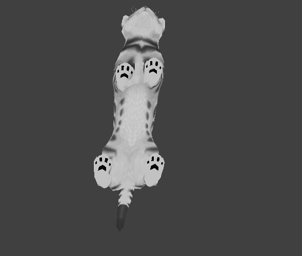 Kitten cat Low-poly 3D model_0