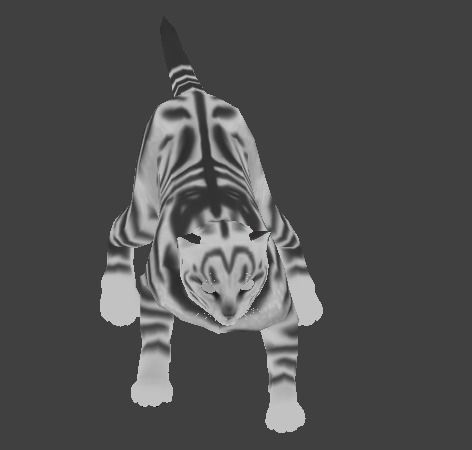 Newborn Kitten Low-poly 3D model_4