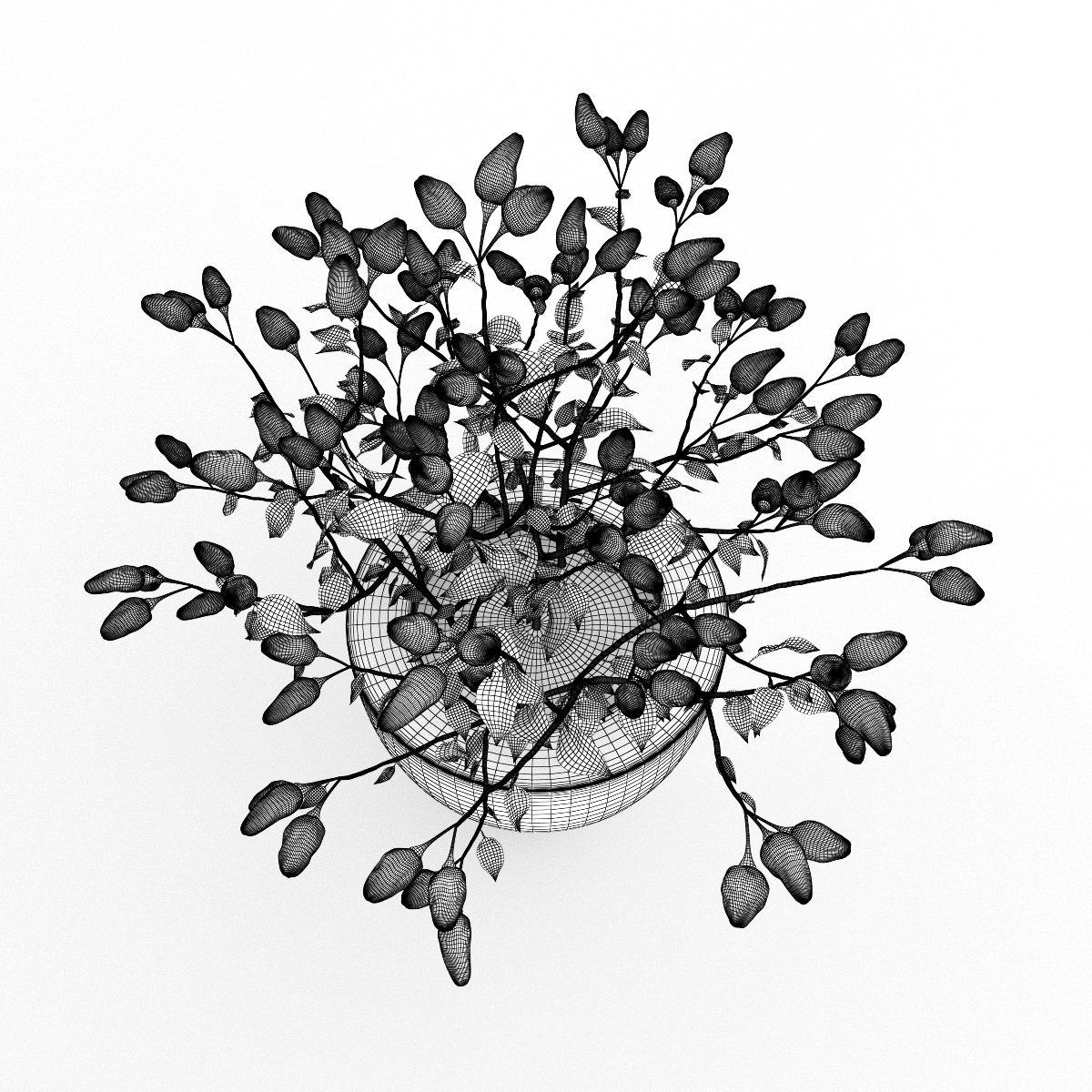 Paprika Plant 3D model_3