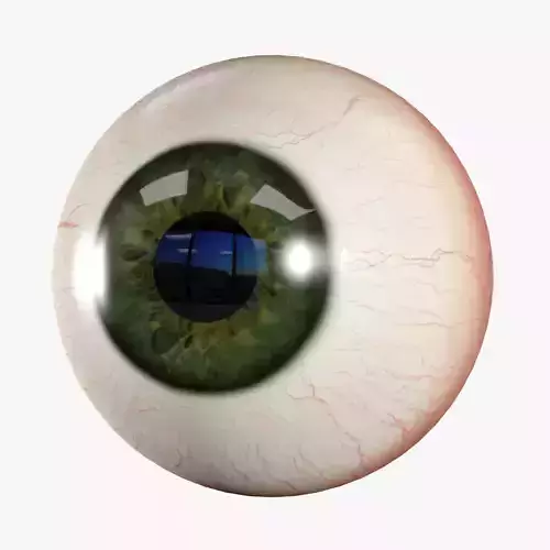 Human Eye Low-poly 3D model