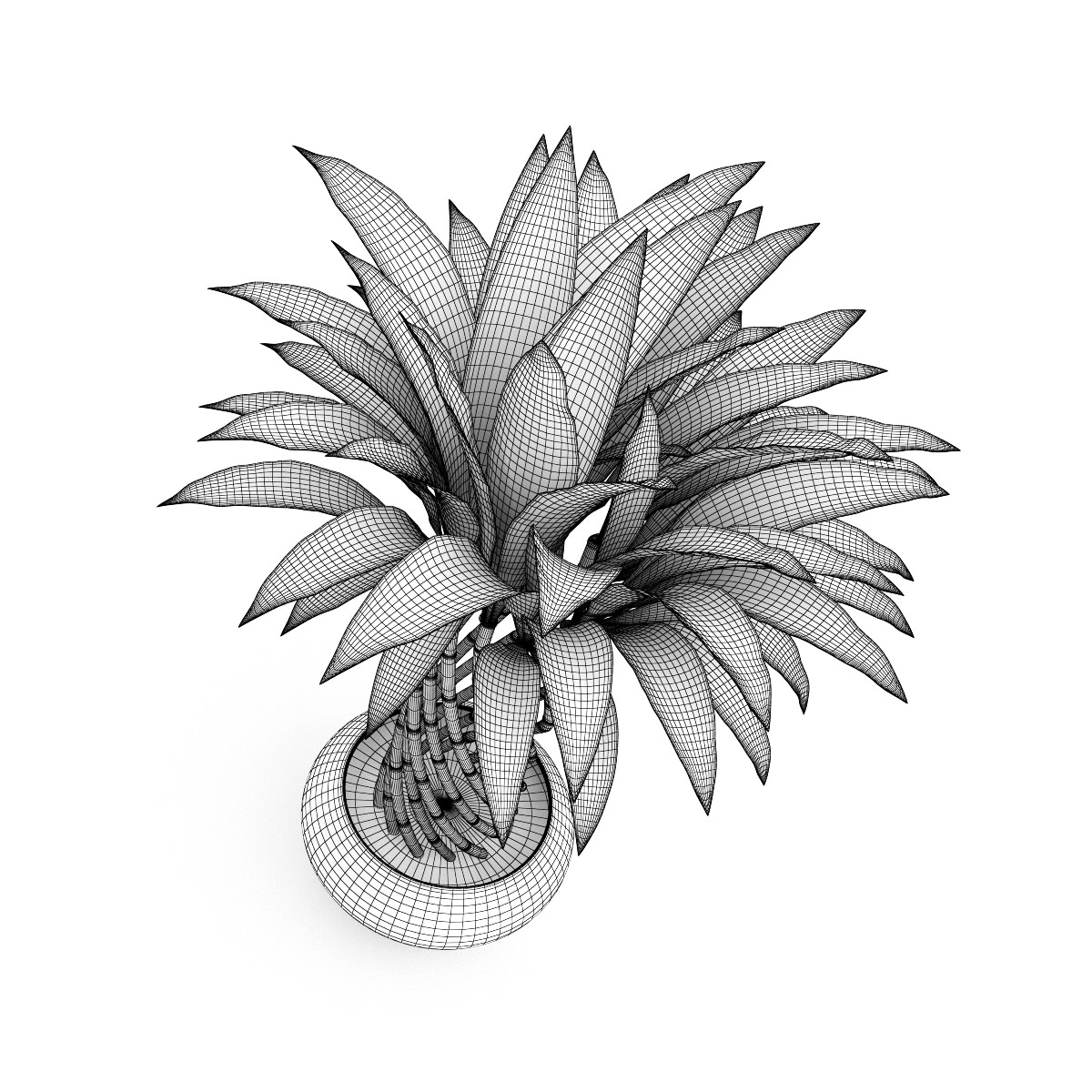 Bamboo Plant 3D model_3