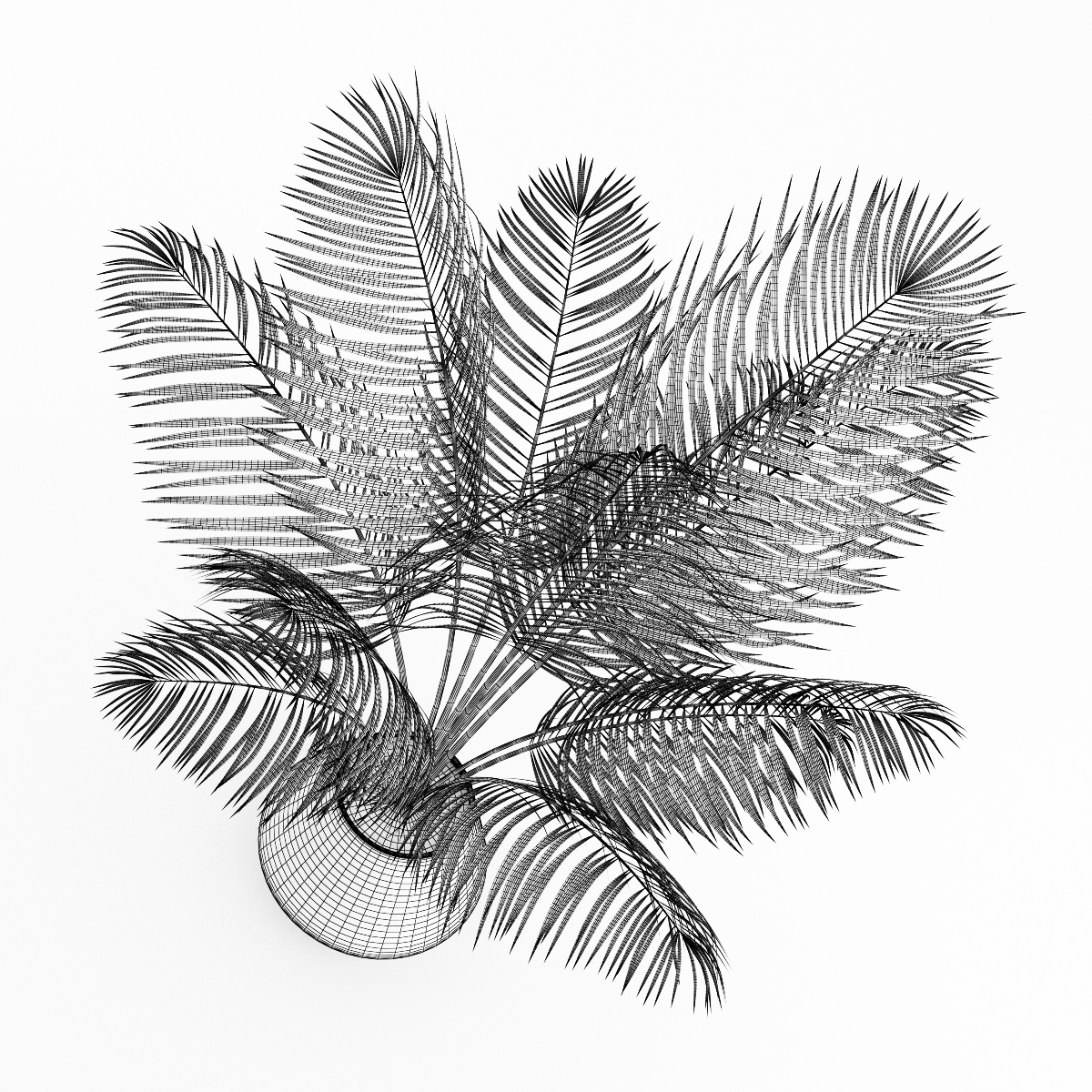 Potted Palm 3D model_3