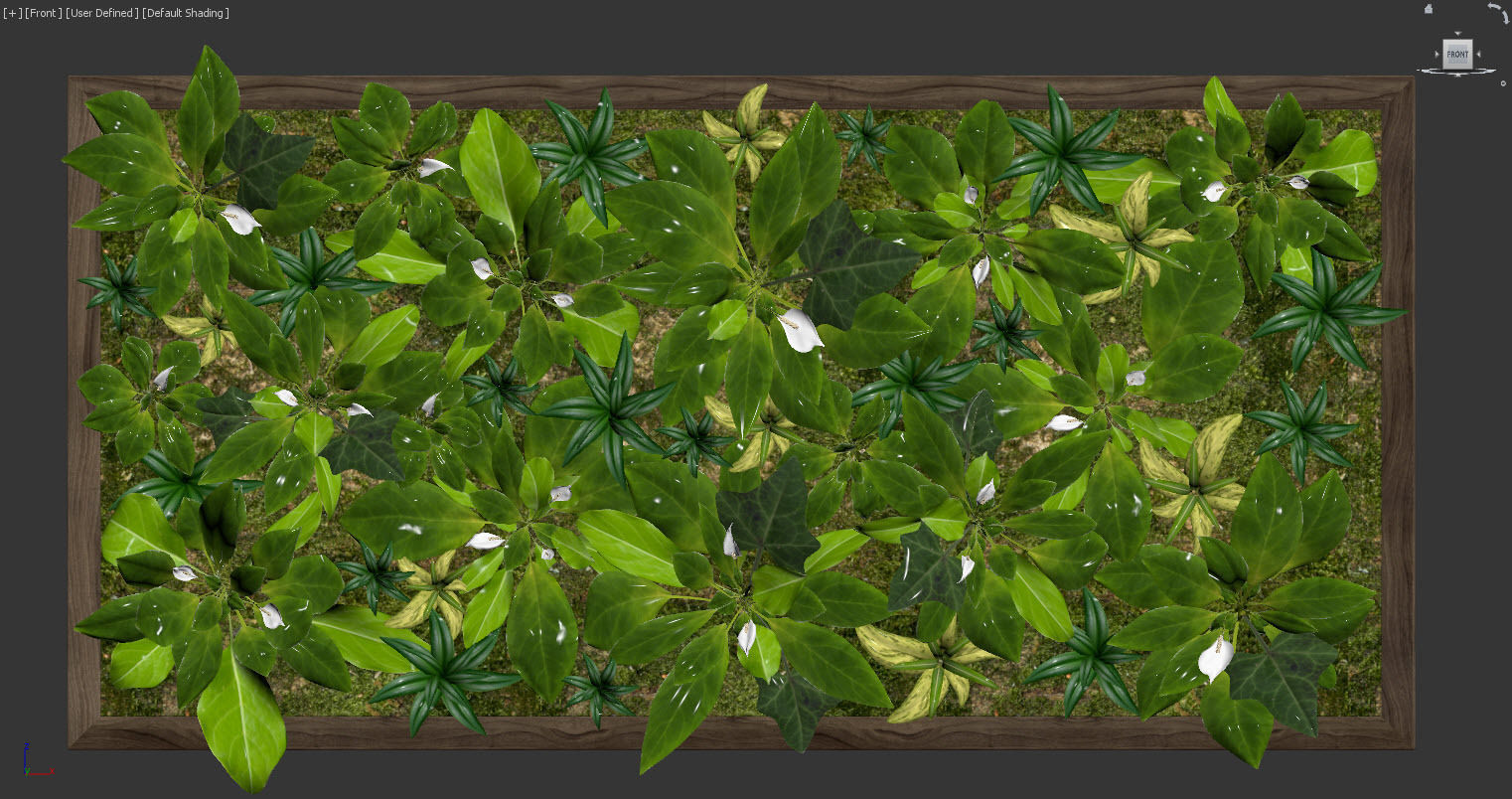 Fytowall spatifilum 3D model_3