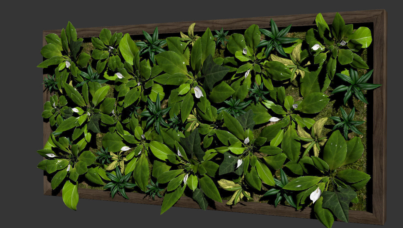 Fytowall spatifilum 3D model_4