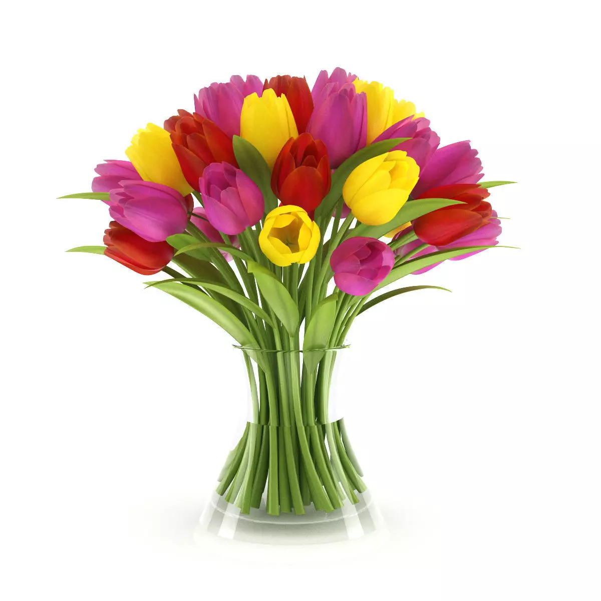 Three-color Tulips 3D model