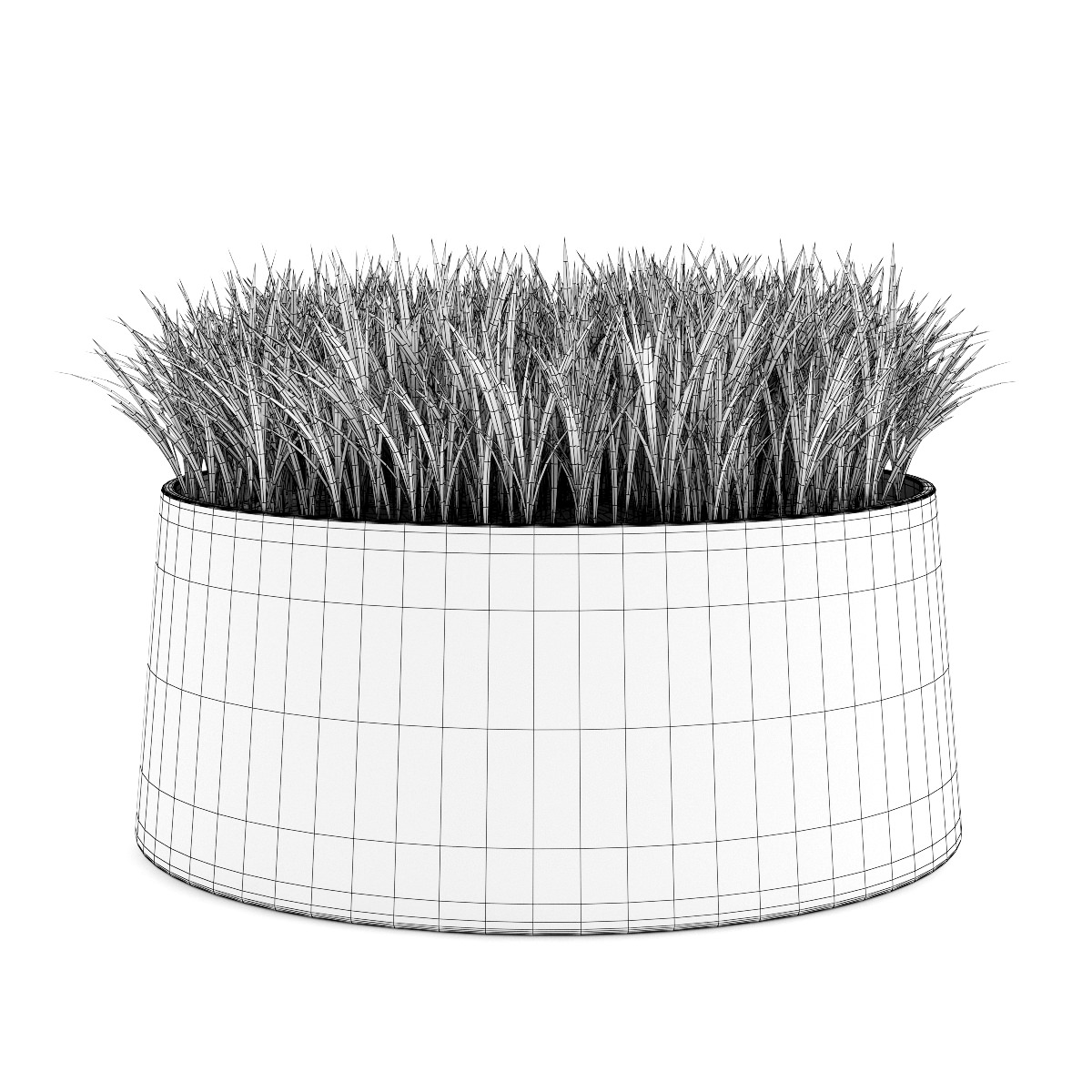 Decorative Grass 3D model_1