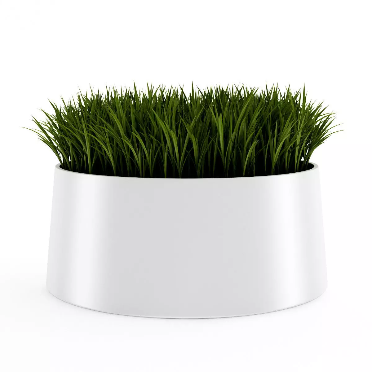 Decorative Grass 3D model_0