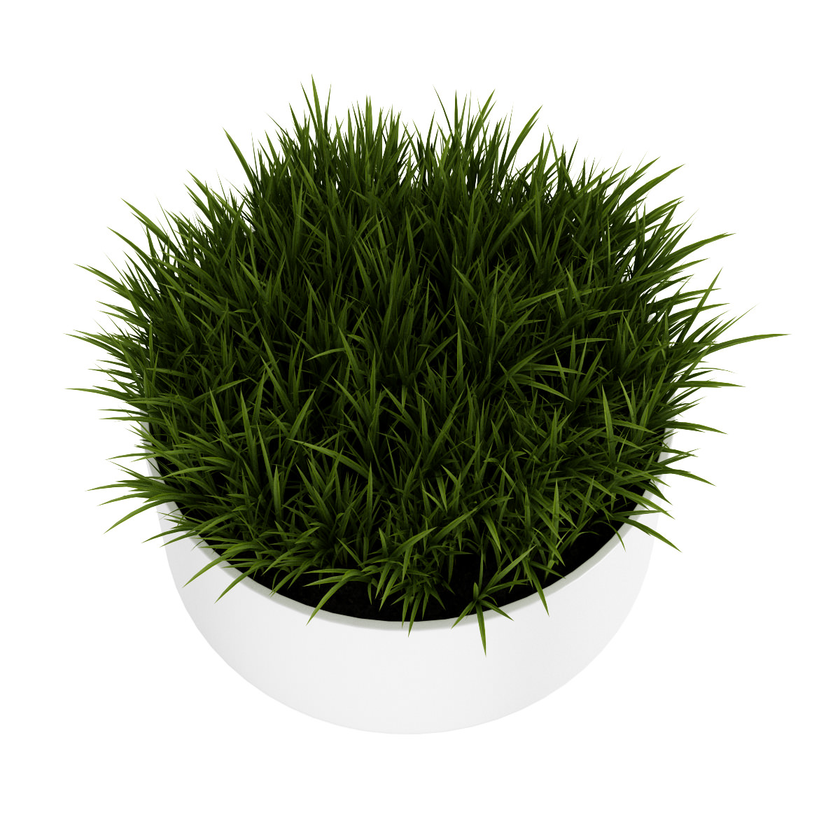 Decorative Grass 3D model_2