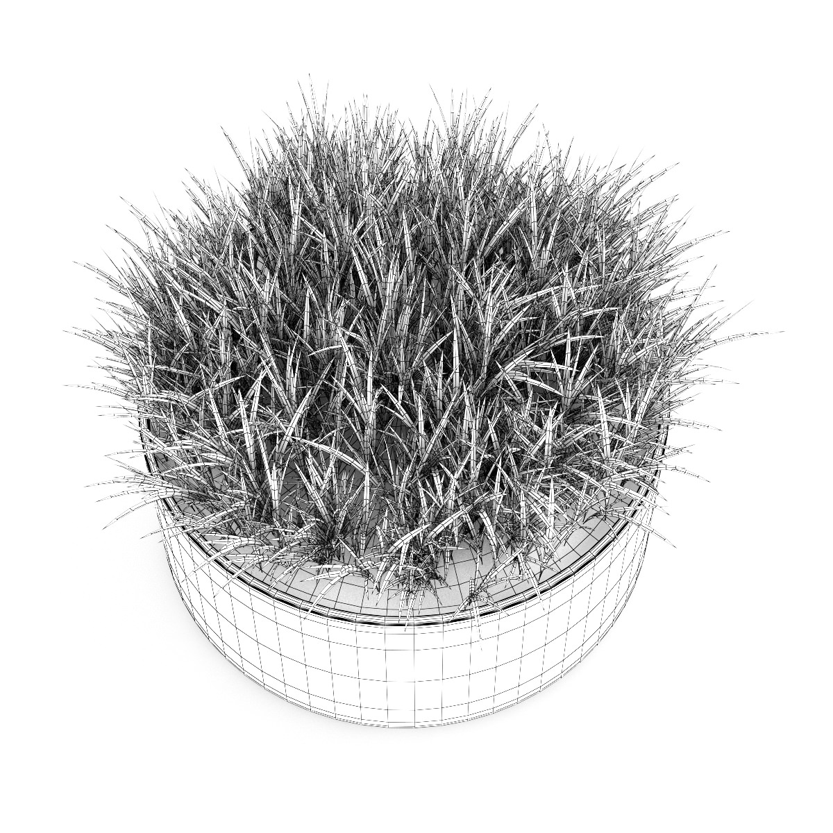 Decorative Grass 3D model_3