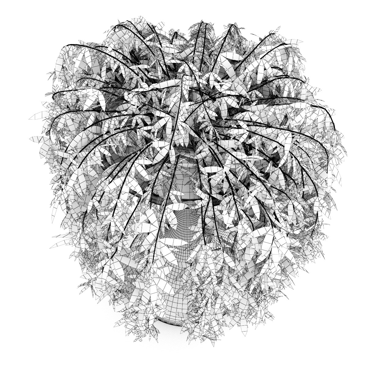 Climbing Plant 3D model_1