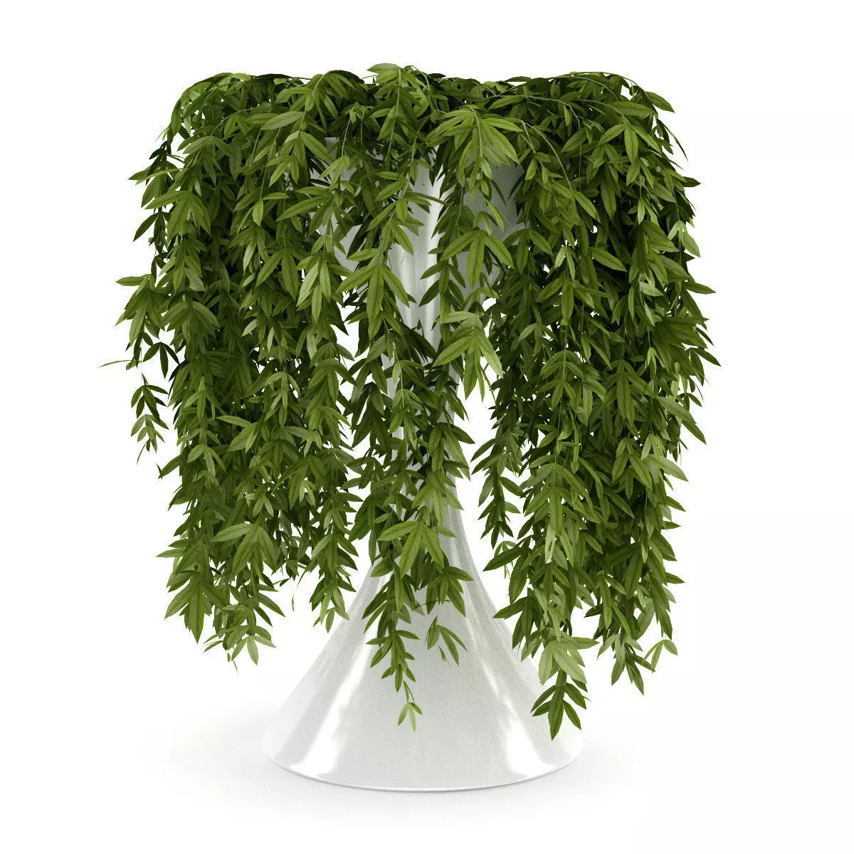 Climbing Plant 3D model_0