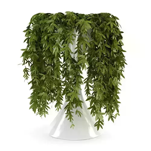 Climbing Plant 3D model