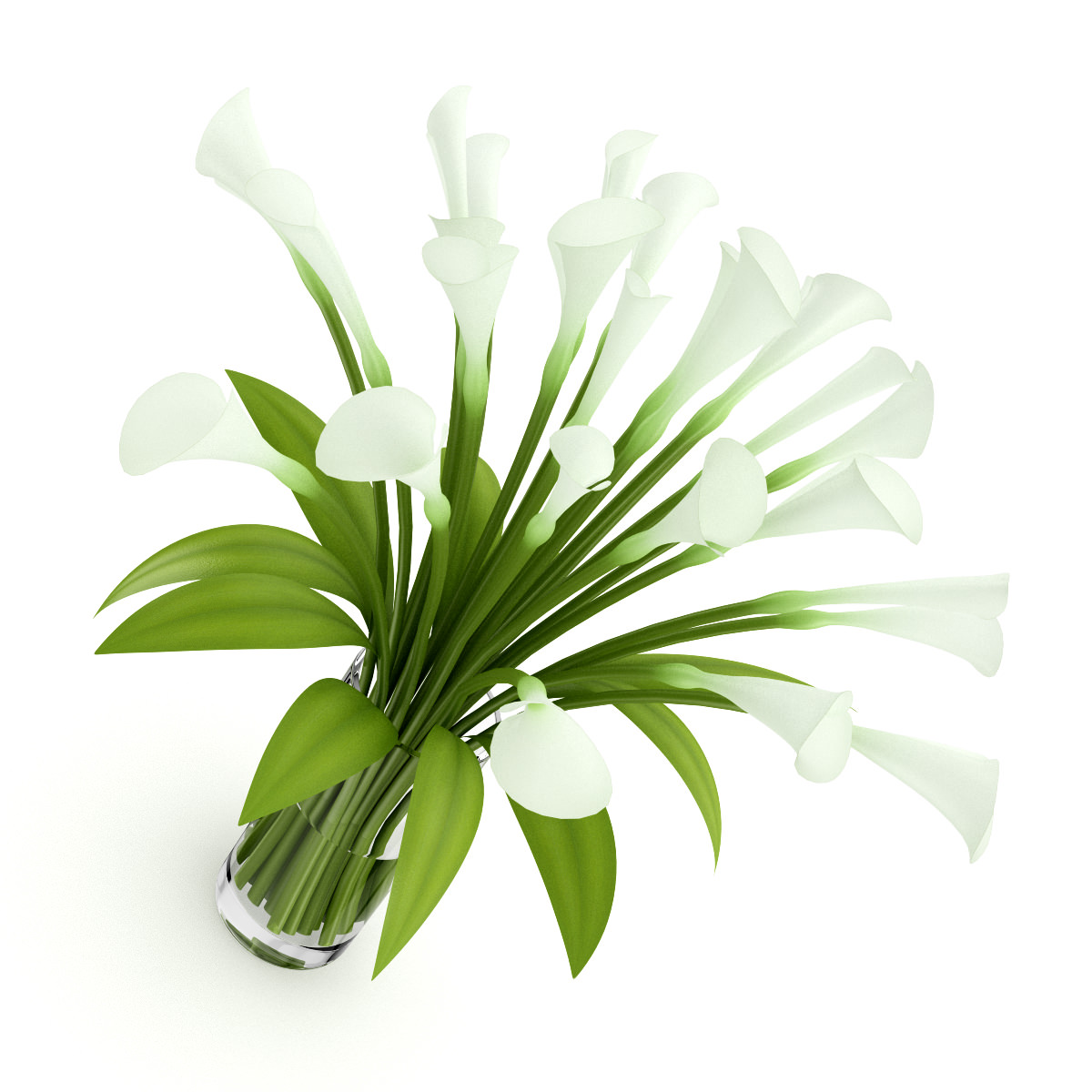 Lilies in Vase 3D model_2