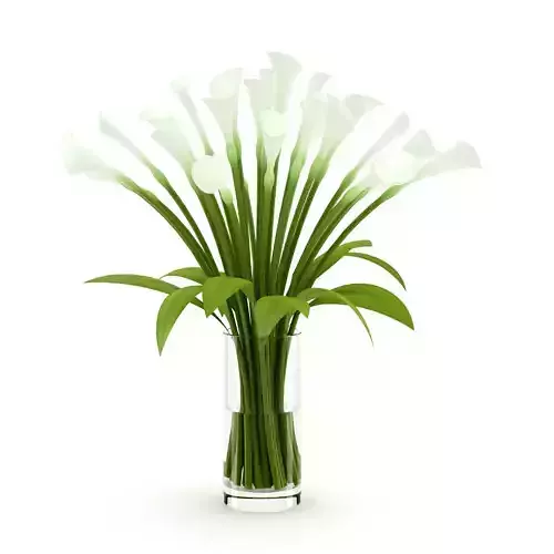 Lilies in Vase